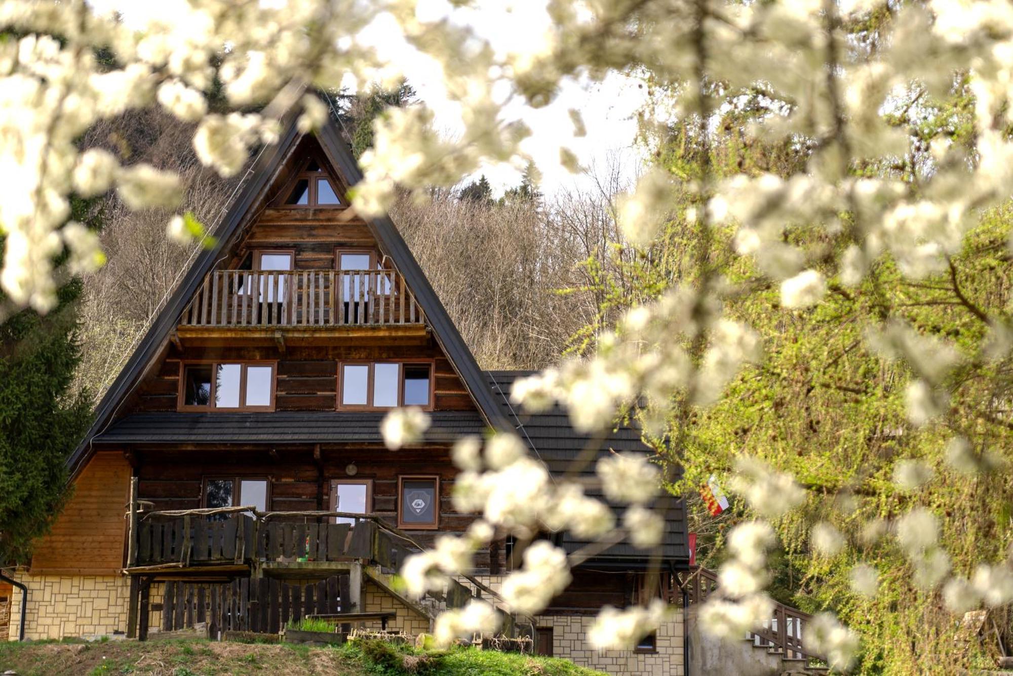 Bacowka Pttk Pod Honem - Schronisko Gorskie Hostel Cisna Exterior photo